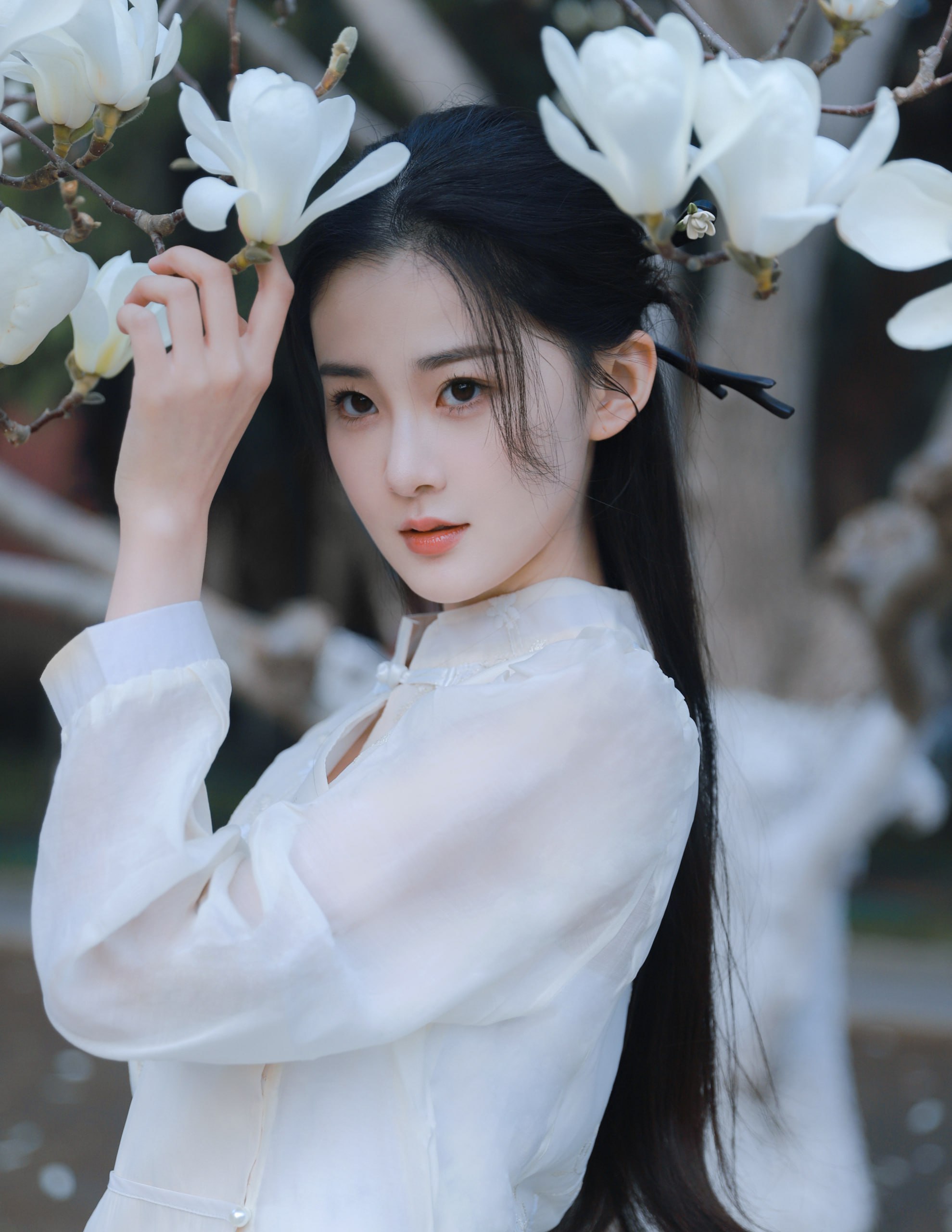 王泡芙猫 王泡芙猫咪小视频全部关注